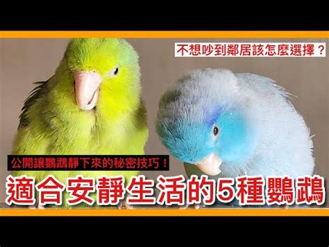 什麼動物可以養|寵物推薦》10種好養的動物一次就上手！養在室內也不怕 ... :: 可。